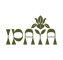 IPAYA full wordmark logo with orchid